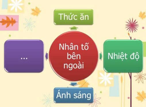 Ảnh hưởng của dịch bệnh và các yếu tố bên ngoài